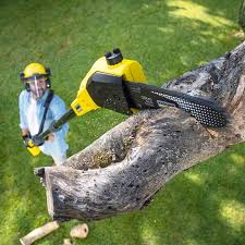 Best Soil Testing and Treatment  in Willow Creek, CA